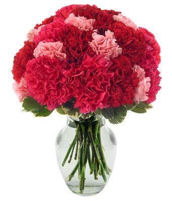 Very Berry Carnations Bouquet